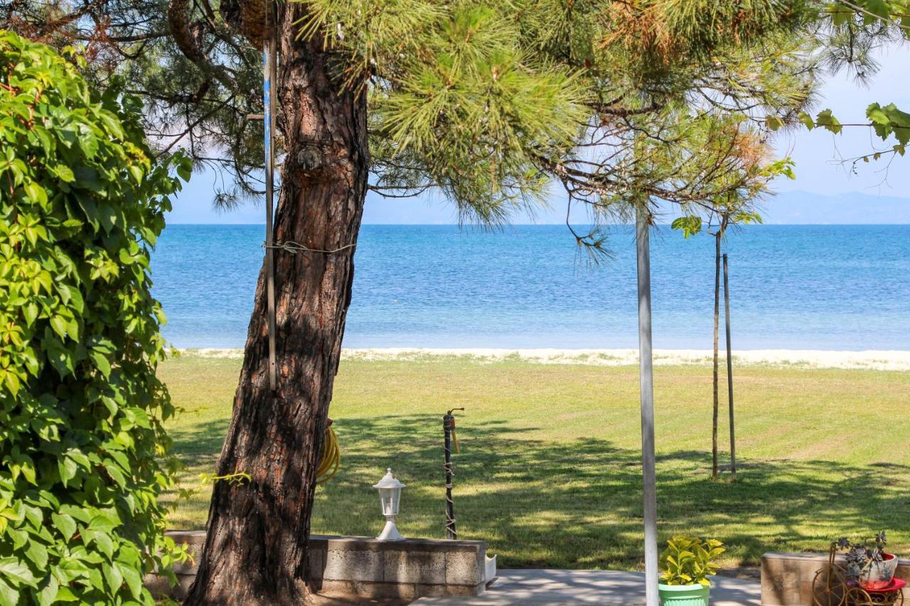 Studios Avra Σκάλα Ραχωνίου Εξωτερικό φωτογραφία